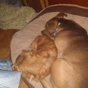 Meet your Posher, Christopher